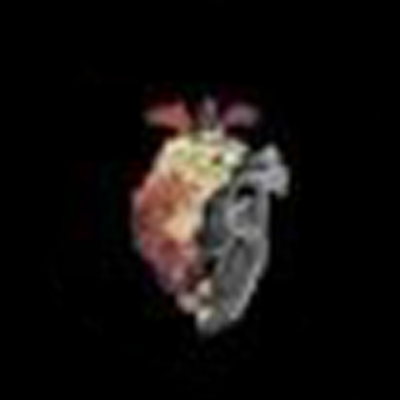 Photo of Sara Almasri