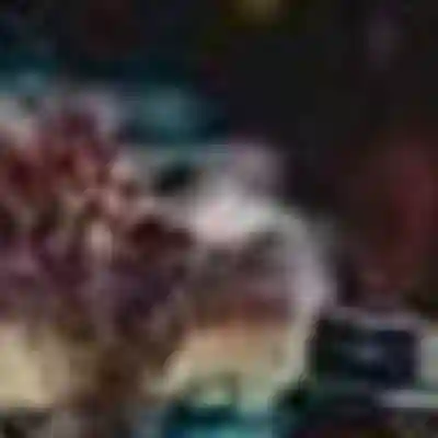 Photo of Fatooma Sacod